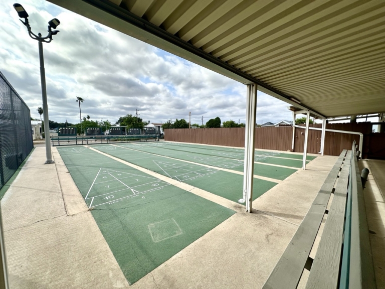 Copy of IMG_4300 Large