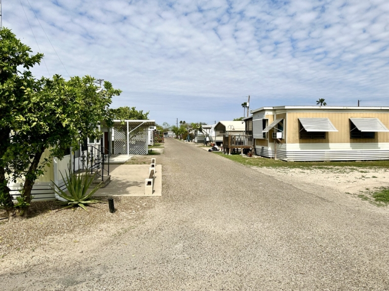 Copy of IMG_5821 Large